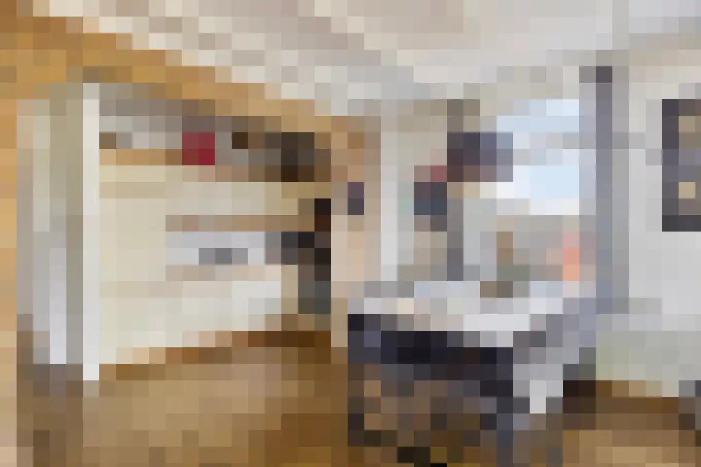 Koksgoedweg 6 Wehl thumbnail 29