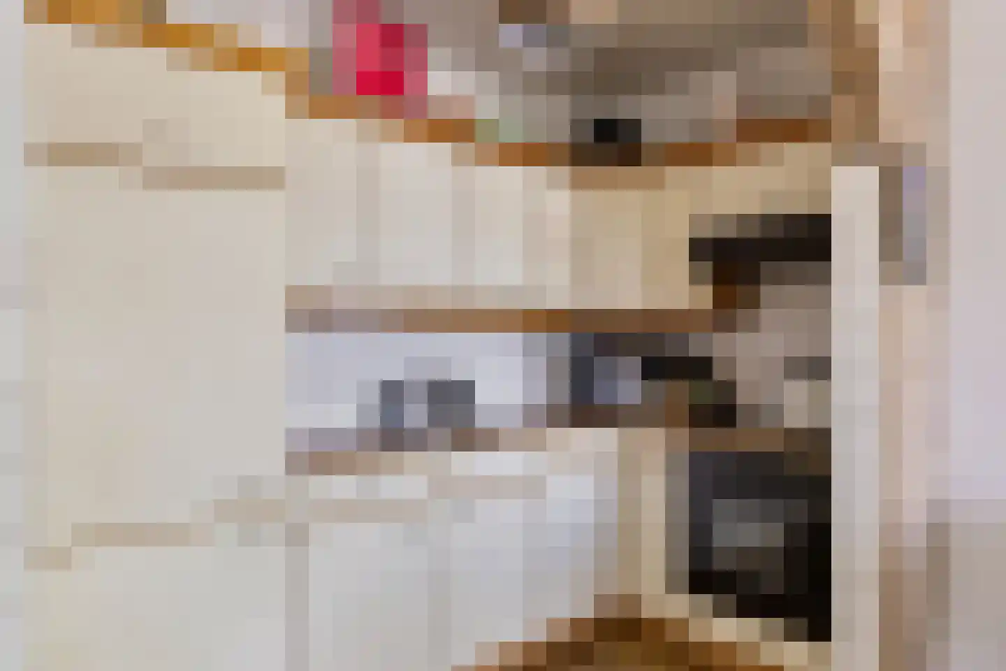 Koksgoedweg 6 Wehl thumbnail 30