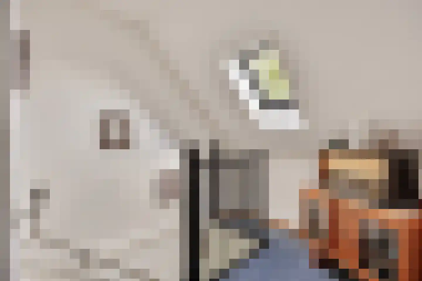 Koksgoedweg 6 Wehl thumbnail 31