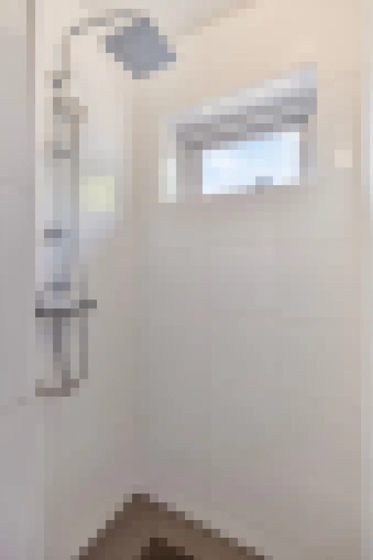 Koksgoedweg 6 Wehl thumbnail 34