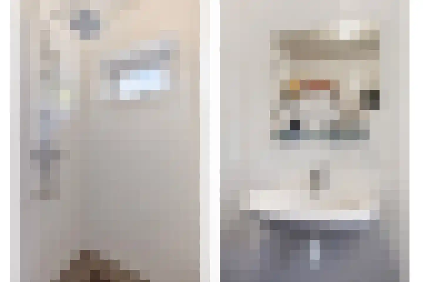 Koksgoedweg 6 Wehl thumbnail 36
