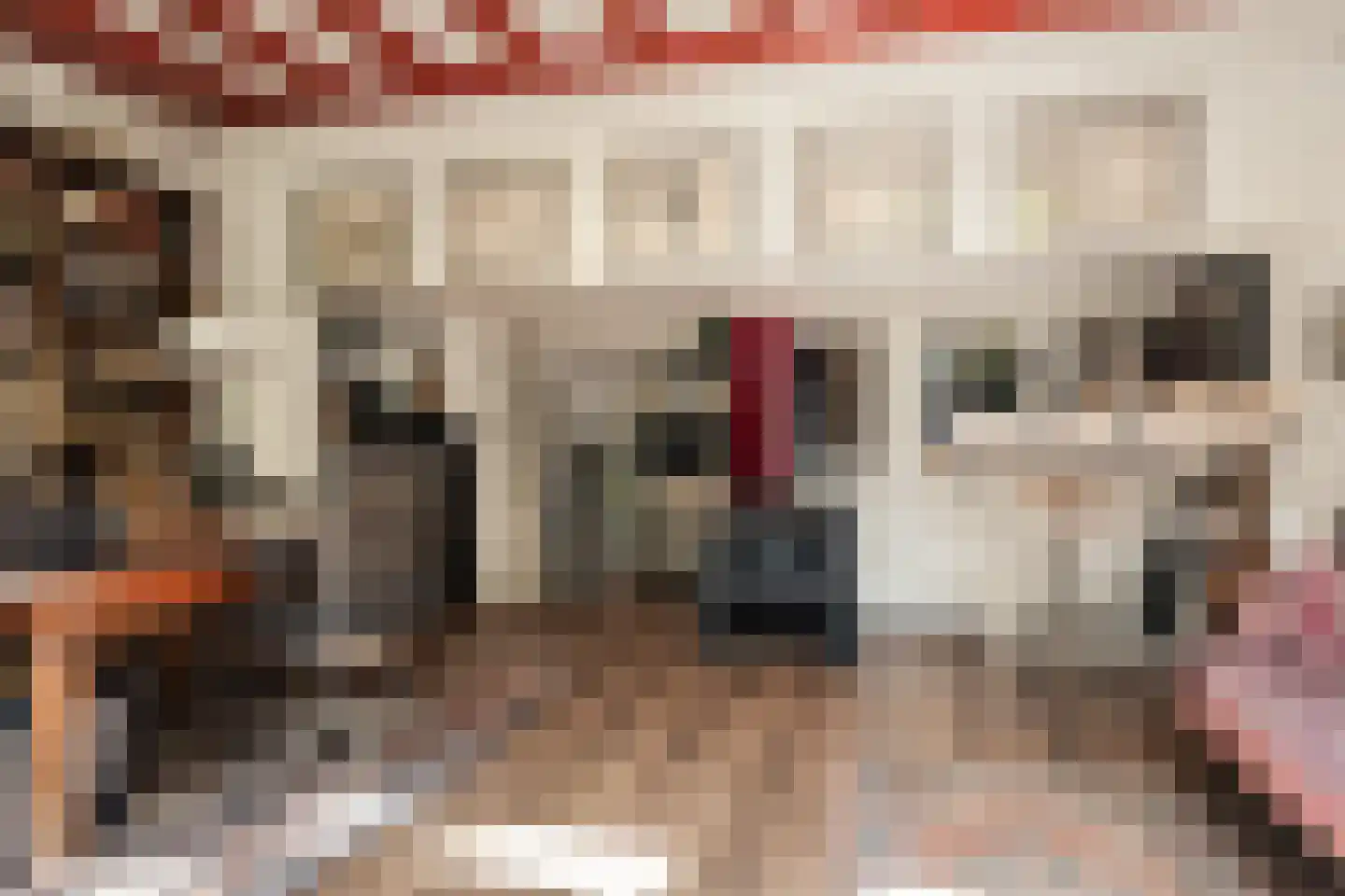 Kokstraat 4 Haarlem thumbnail 10