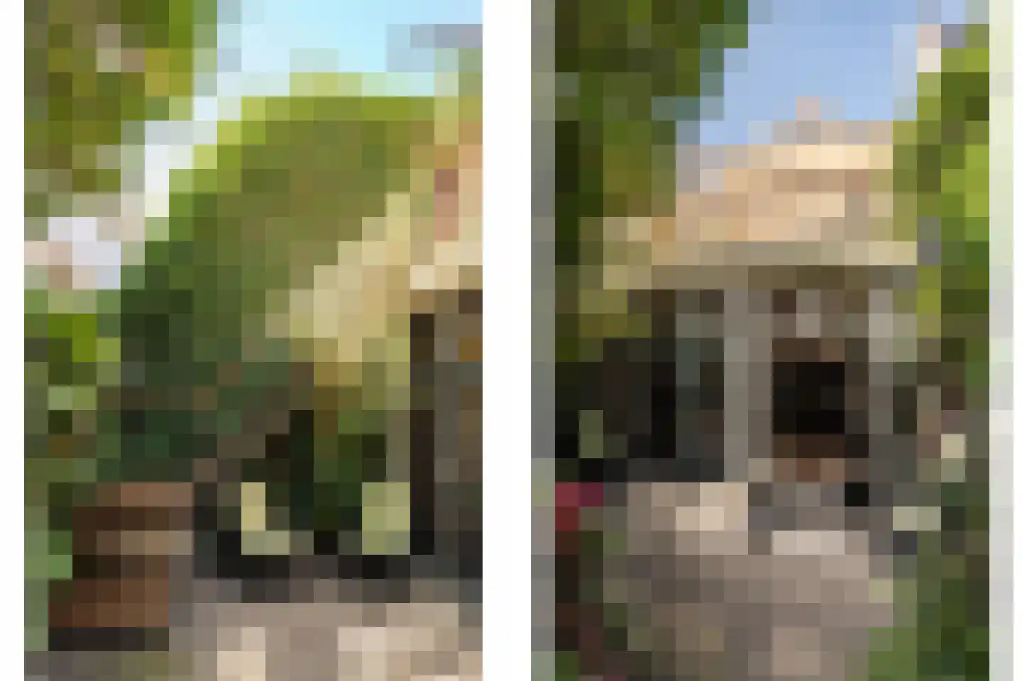 Kokstraat 4 Haarlem thumbnail 25
