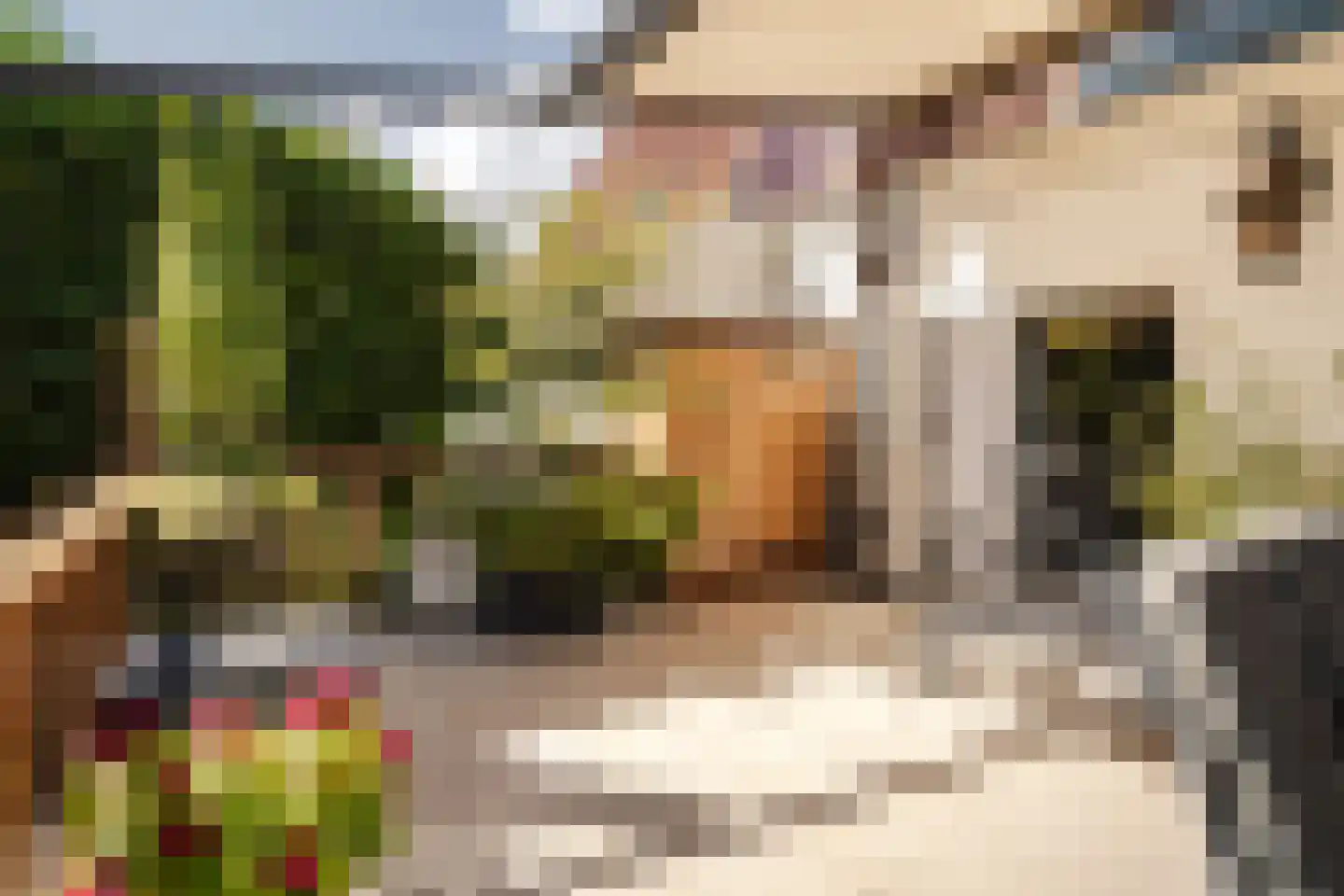 Kokstraat 4 Haarlem thumbnail 37