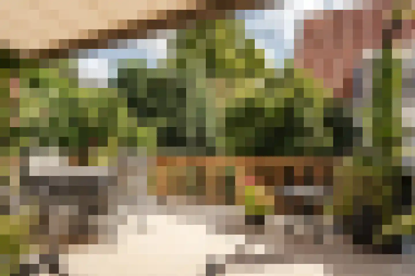 Kokstraat 4 Haarlem thumbnail 38
