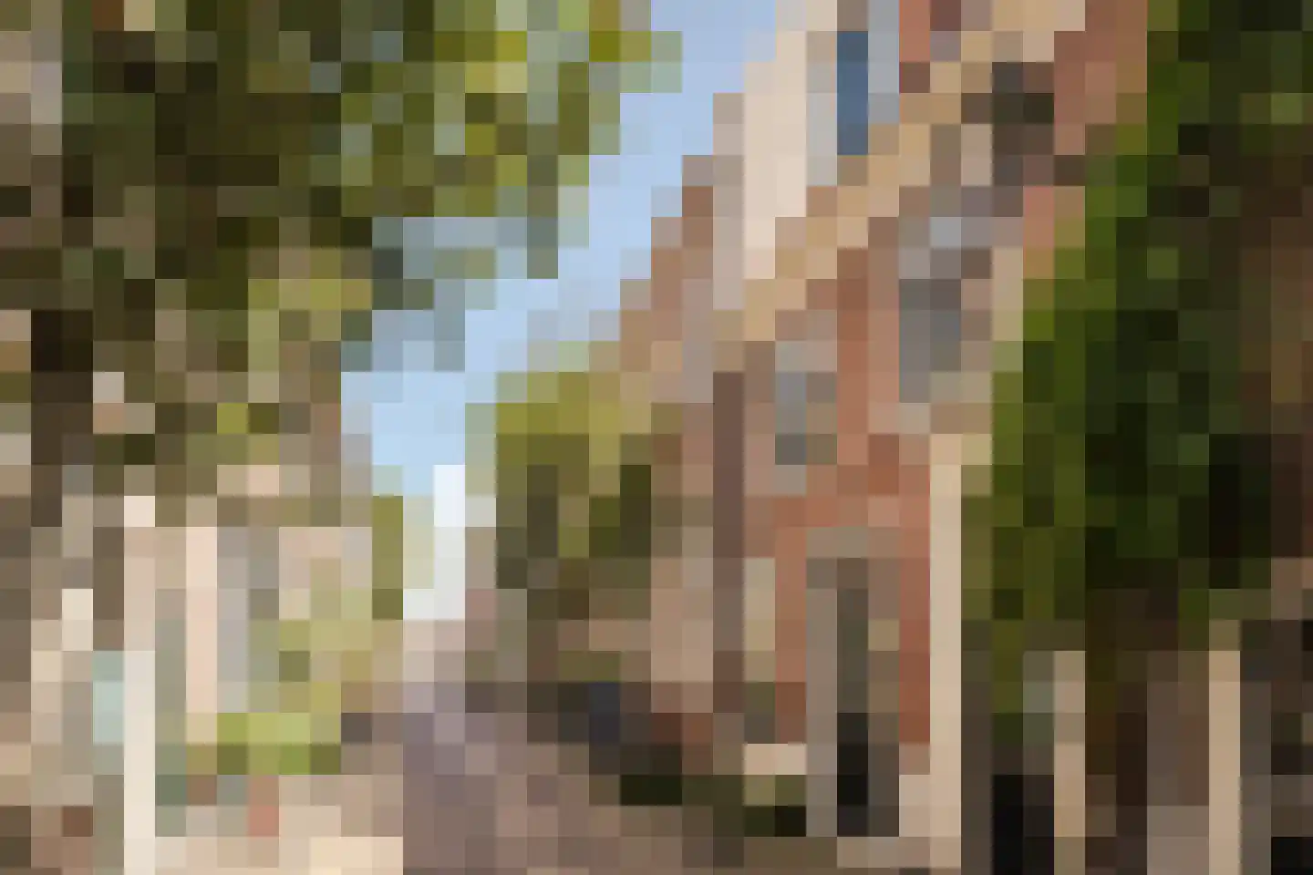 Kokstraat 4 Haarlem thumbnail 6