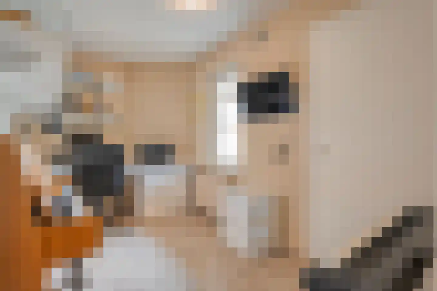 Kolberinksmaat 14 Weerselo thumbnail 15