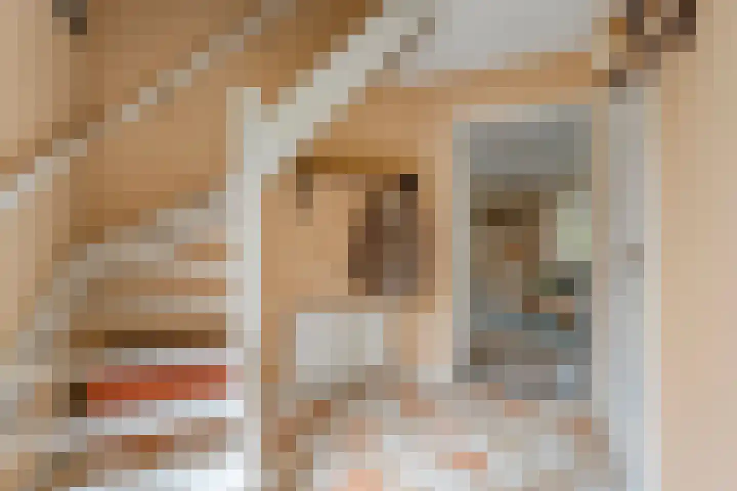 Kolberinksmaat 14 Weerselo thumbnail 16