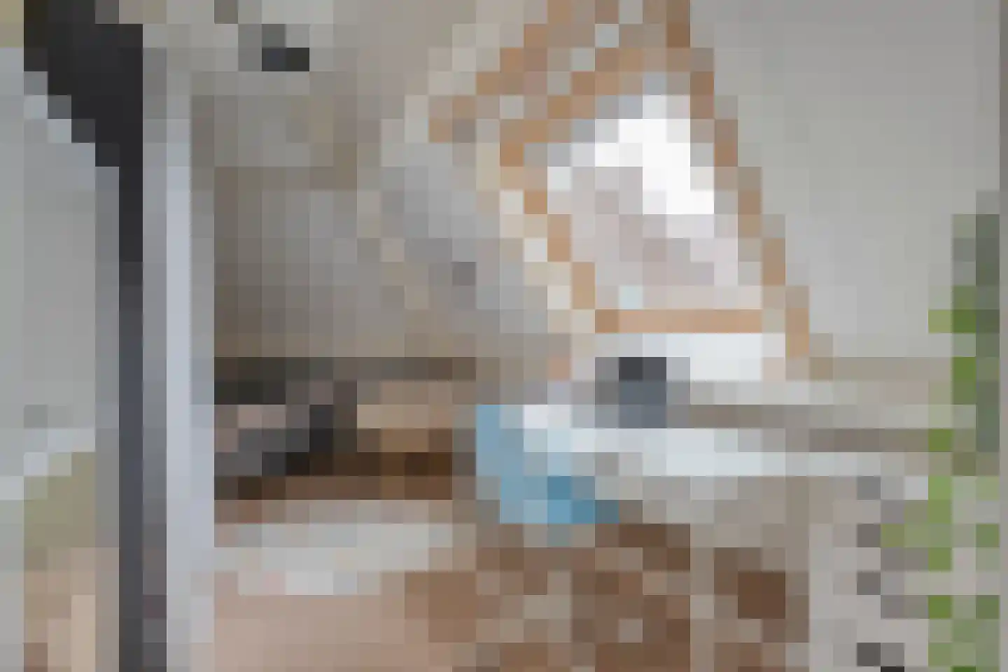 Kolberinksmaat 14 Weerselo thumbnail 23