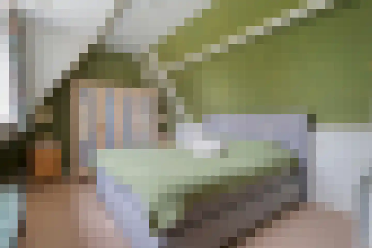 Kolberinksmaat 14 Weerselo thumbnail 26