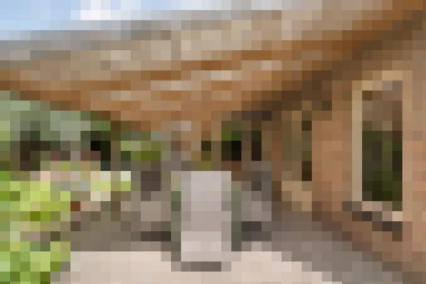 Kolberinksmaat 14 Weerselo thumbnail 29