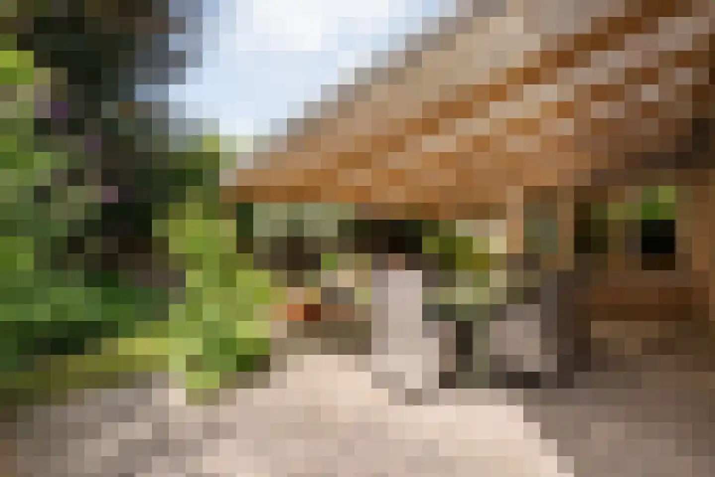 Kolberinksmaat 14 Weerselo thumbnail 30