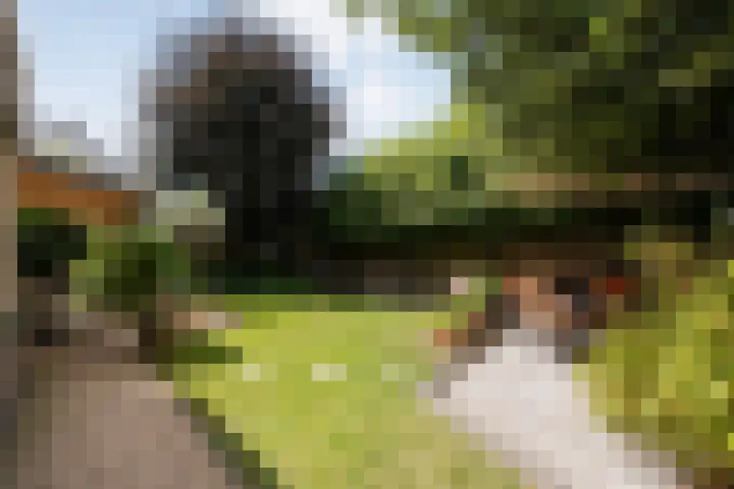 Kolberinksmaat 14 Weerselo thumbnail 31