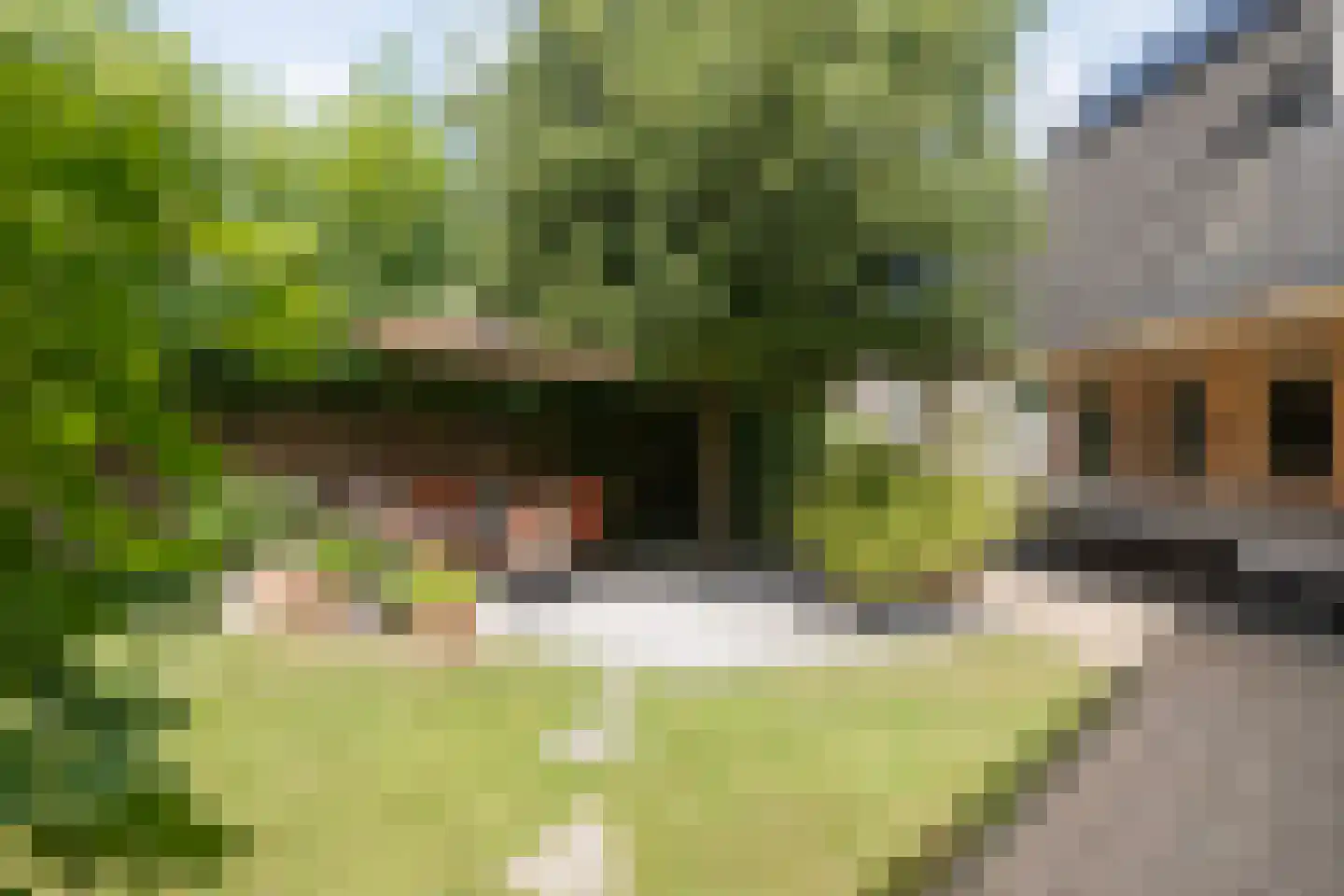 Kolberinksmaat 14 Weerselo thumbnail 33