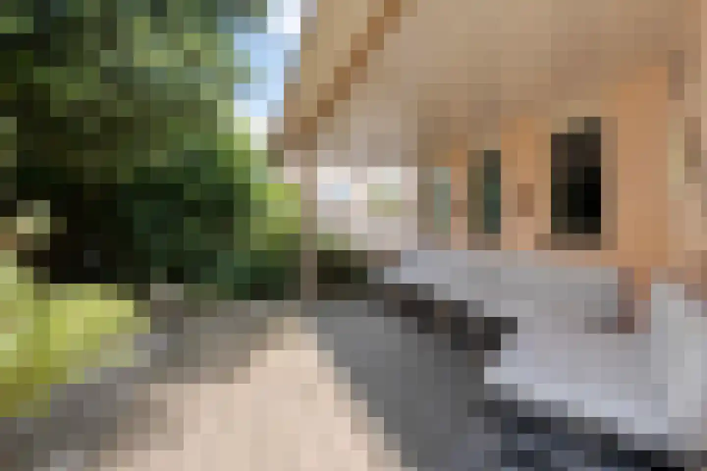 Kolberinksmaat 14 Weerselo thumbnail 34