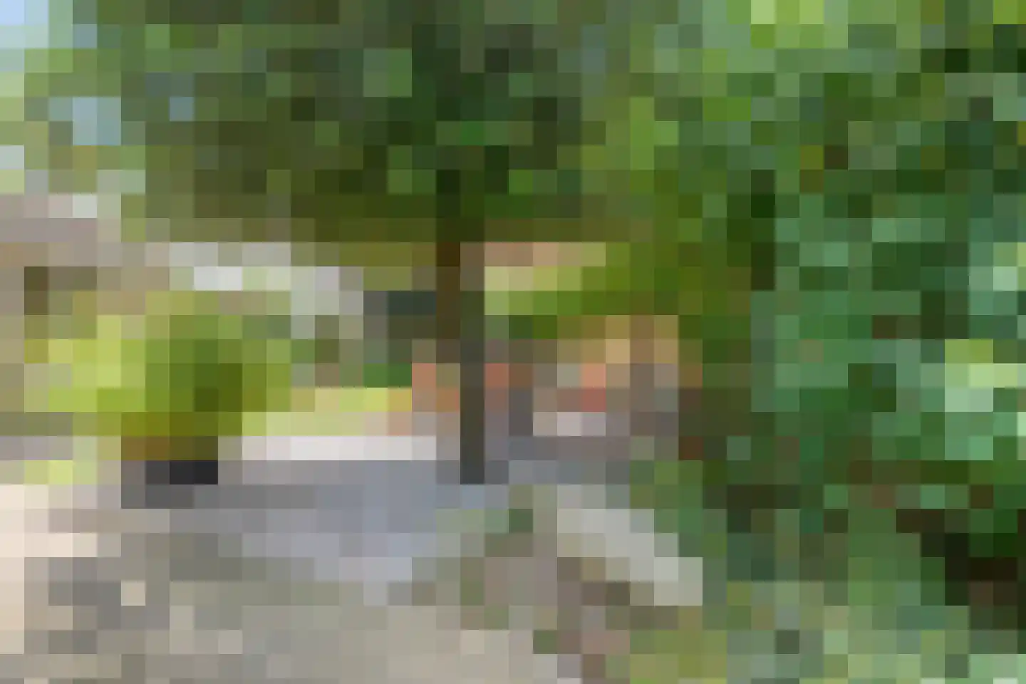 Kolberinksmaat 14 Weerselo thumbnail 35