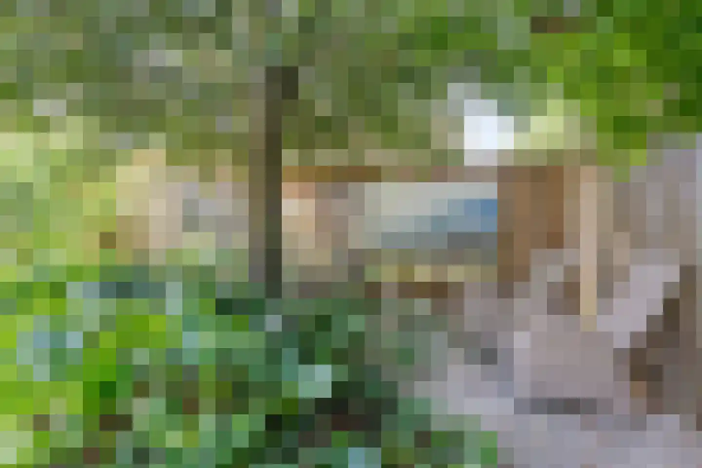 Kolberinksmaat 14 Weerselo thumbnail 36