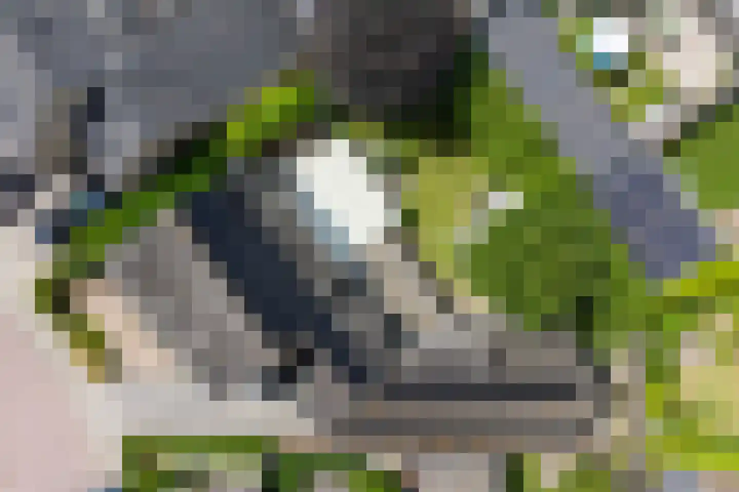 Kolberinksmaat 14 Weerselo thumbnail 39
