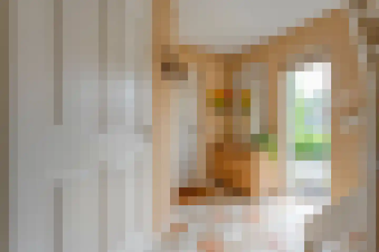 Kolberinksmaat 14 Weerselo thumbnail 5