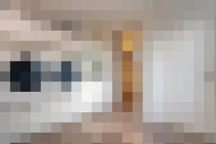 Kolberinksmaat 3 Weerselo thumbnail 14