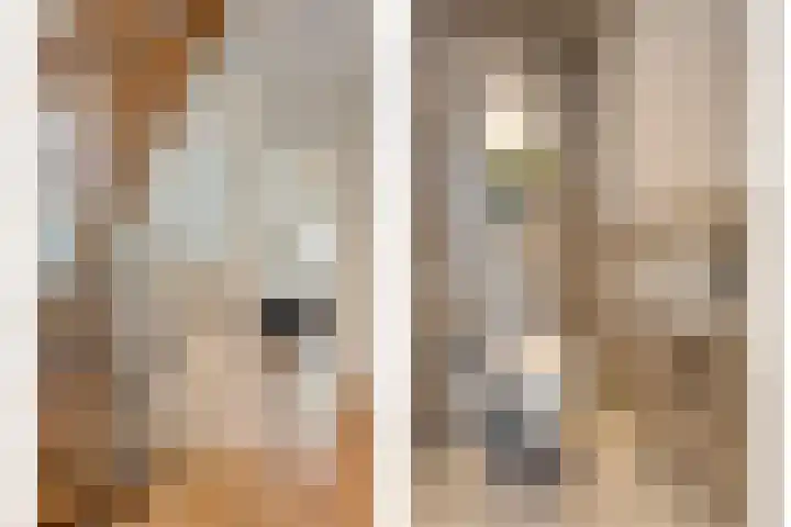Kolberinksmaat 3 Weerselo thumbnail 24