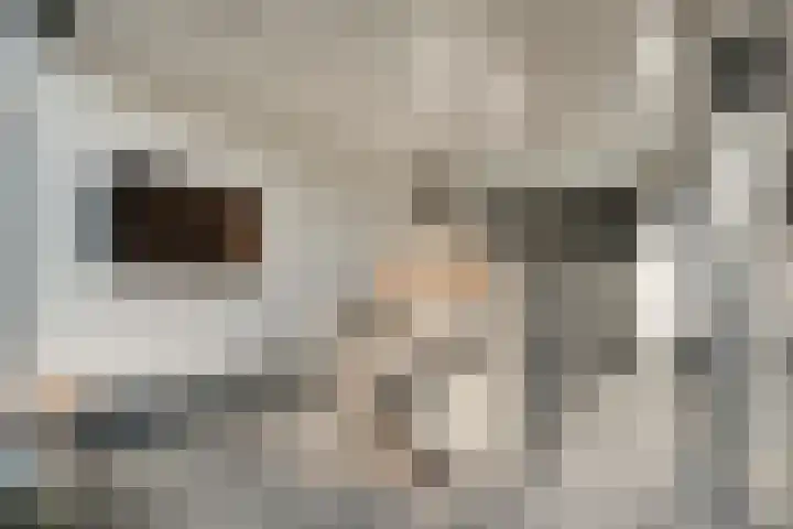 Kolberinksmaat 3 Weerselo thumbnail 29