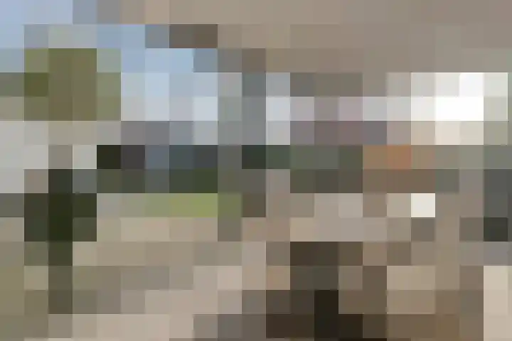 Kolberinksmaat 3 Weerselo thumbnail 30