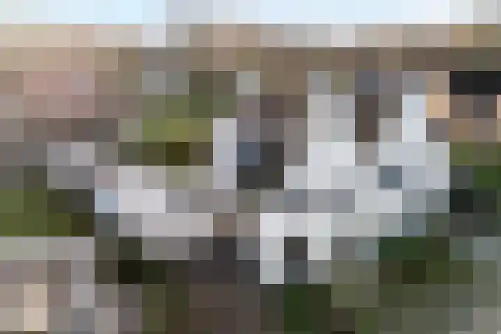 Kolberinksmaat 3 Weerselo thumbnail 36
