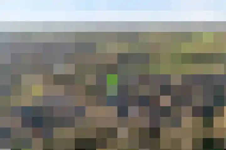 Kolberinksmaat 3 Weerselo thumbnail 37