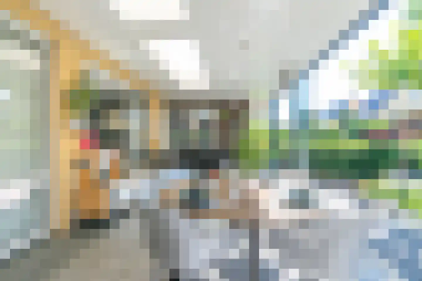 Kolblei 11 Hoogeveen thumbnail 18