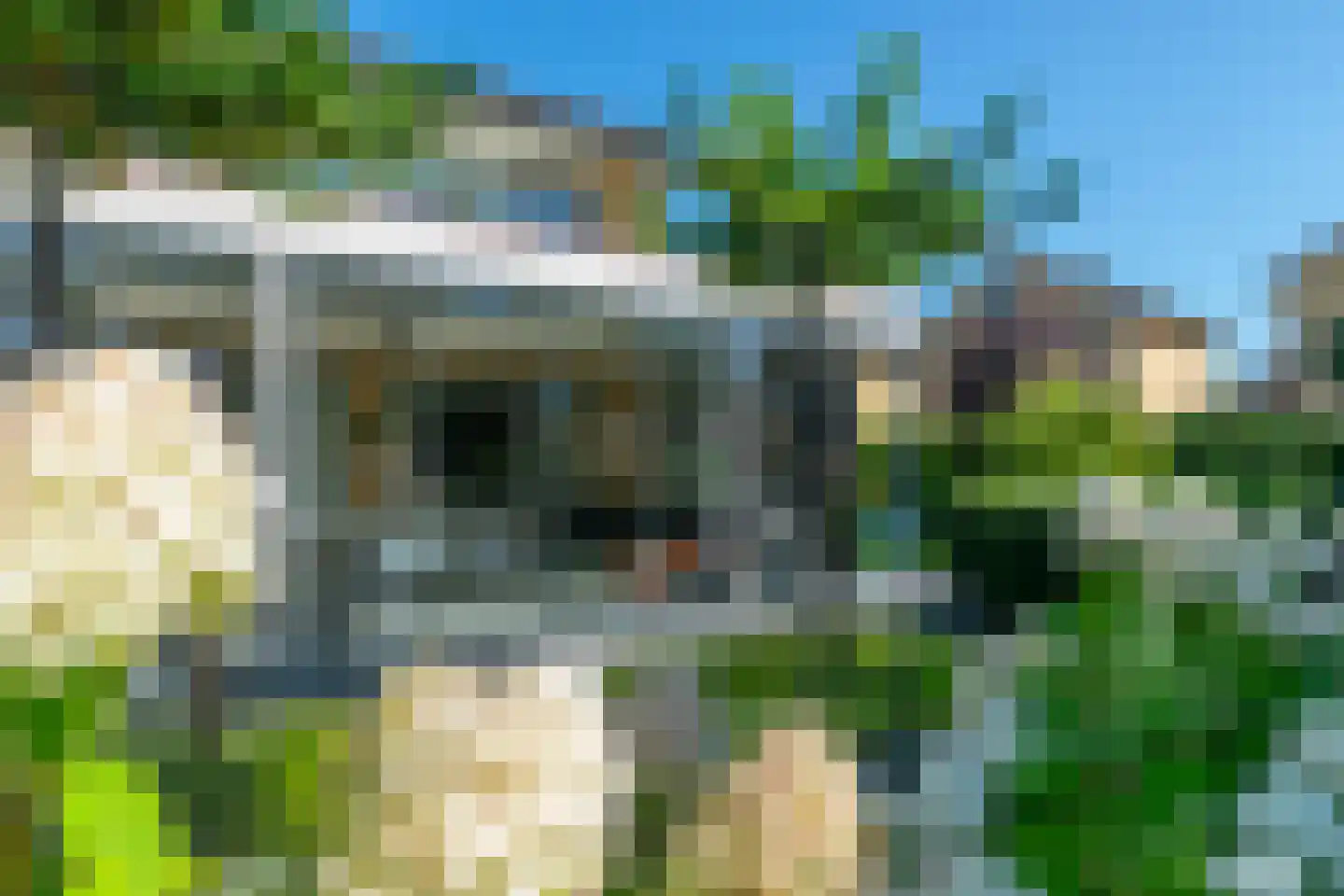 Kolblei 11 Hoogeveen thumbnail 6