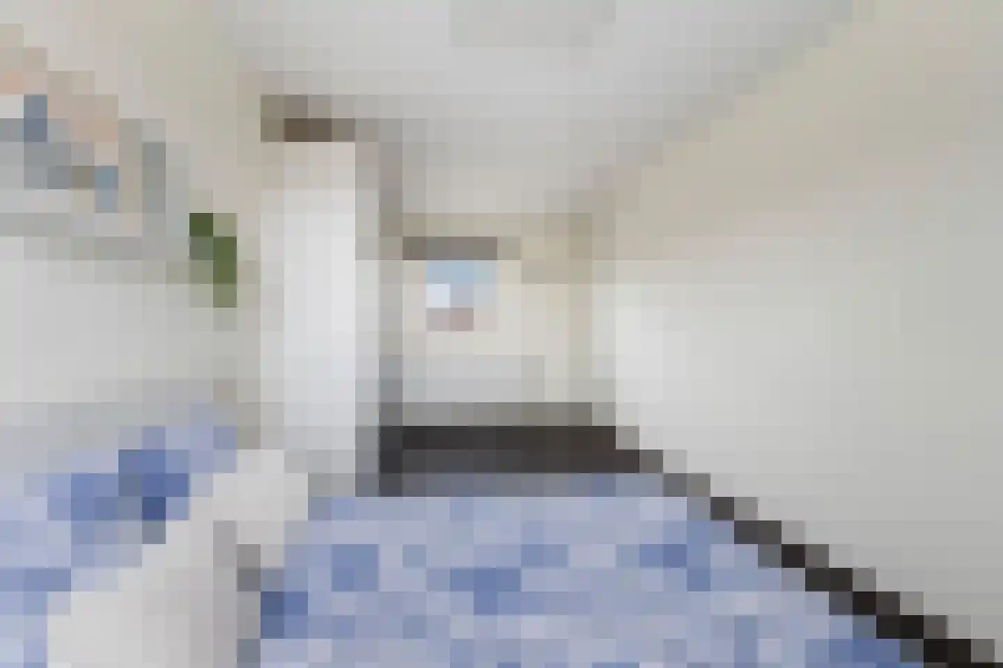 Kolblei 19 Papendrecht thumbnail 33