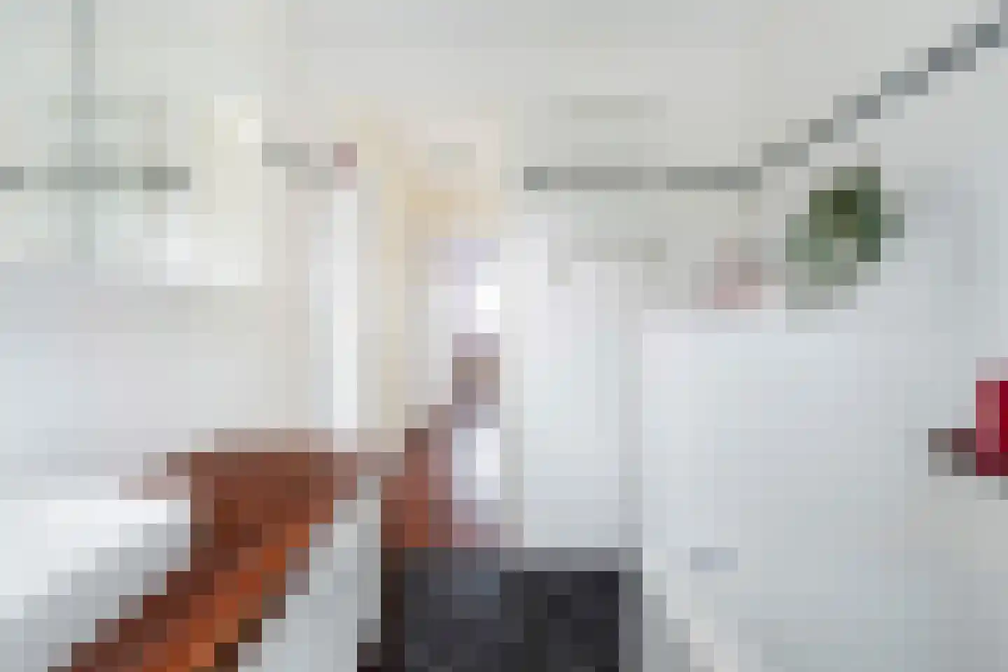 Kolblei 19 Papendrecht thumbnail 46