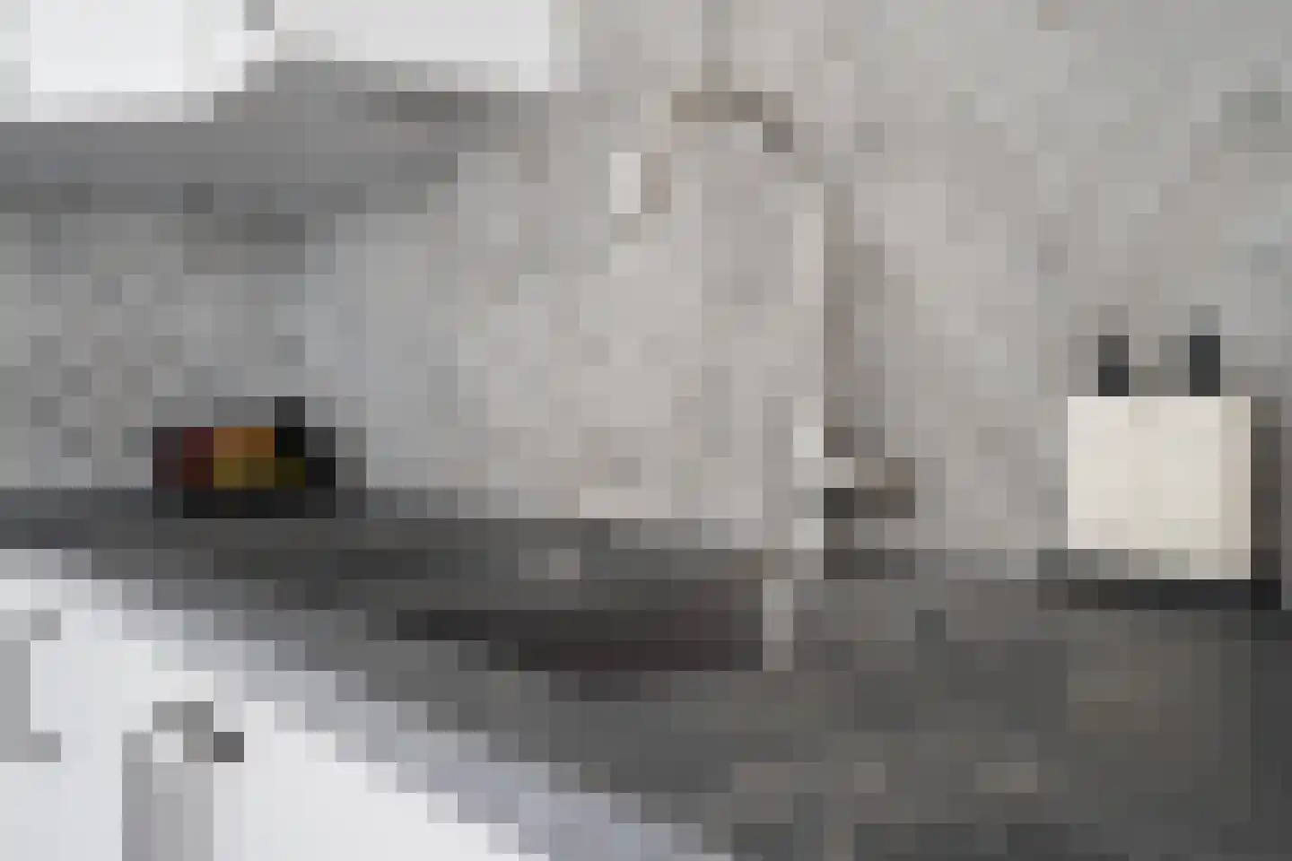 Kolblei 22 Hoogeveen thumbnail 10