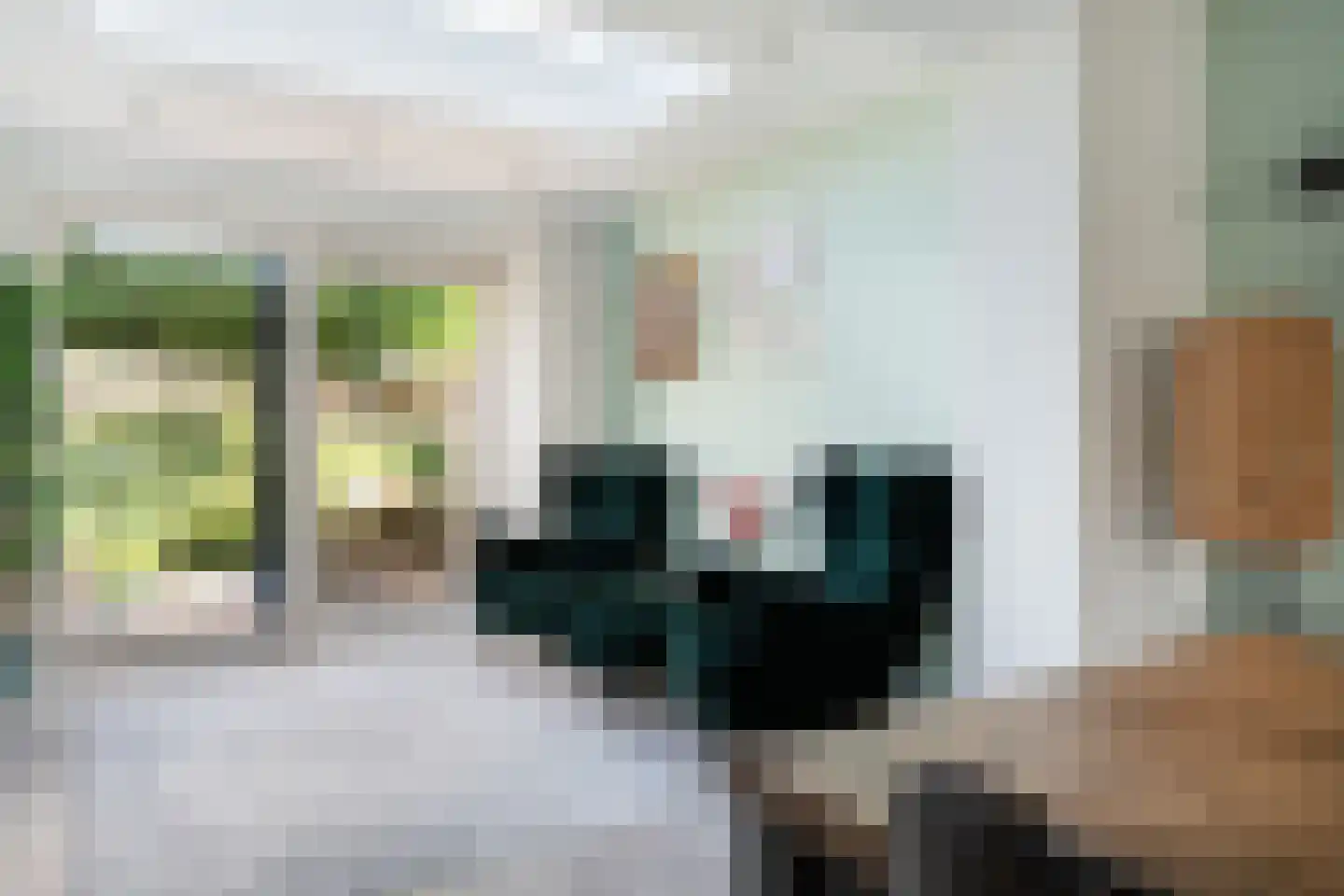 Kolblei 22 Hoogeveen thumbnail 17