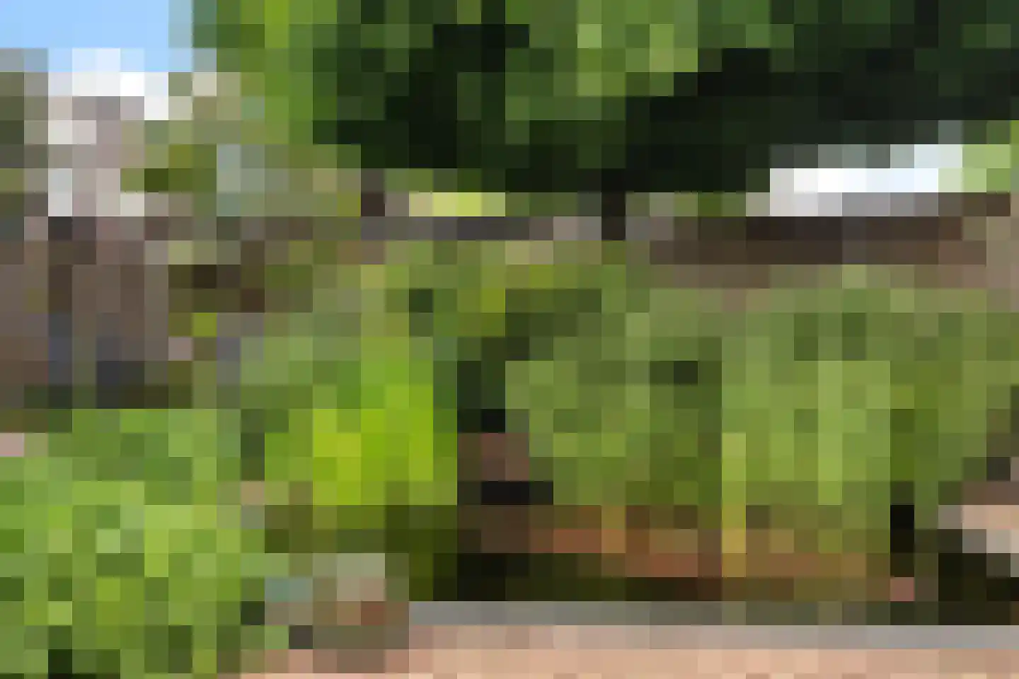 Kolblei 22 Hoogeveen thumbnail 34