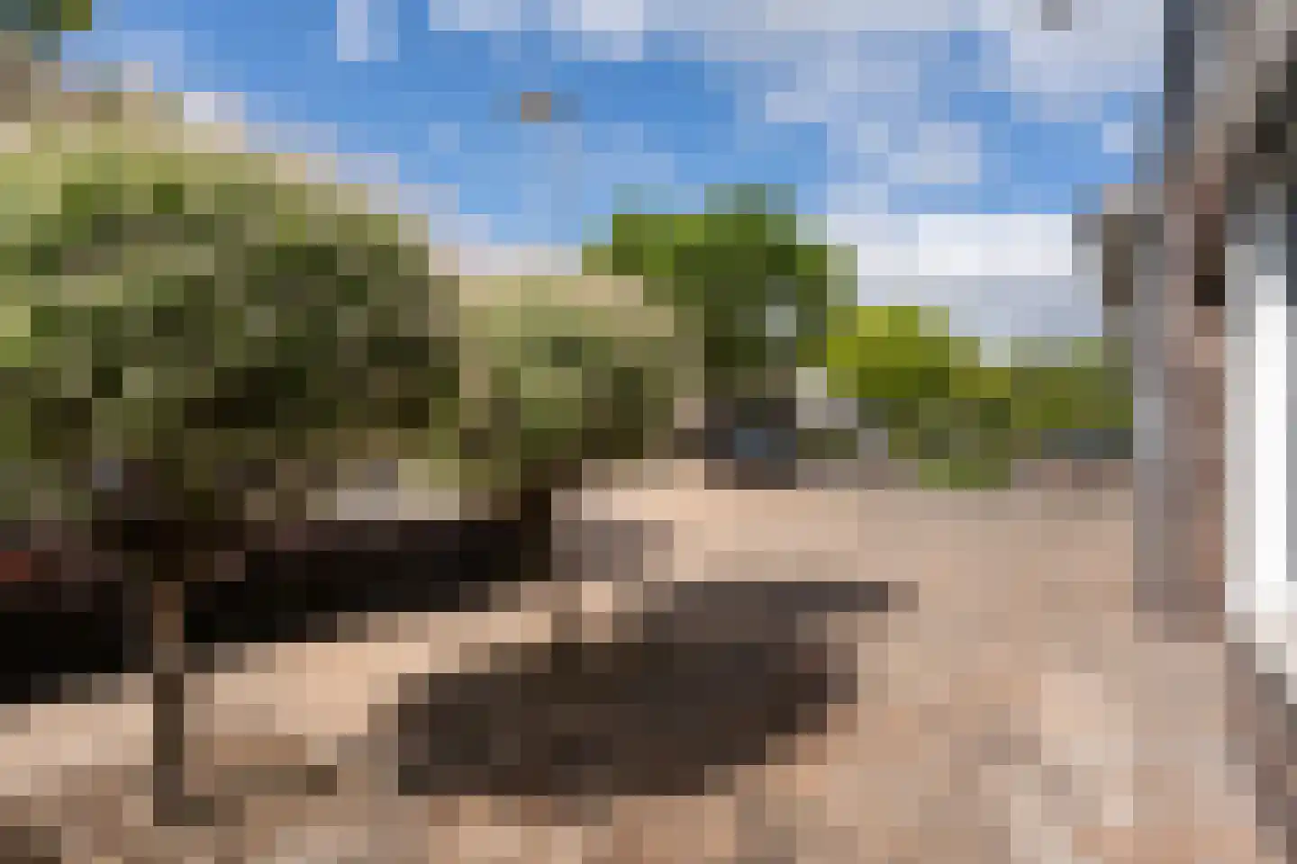 Kolblei 22 Hoogeveen thumbnail 38