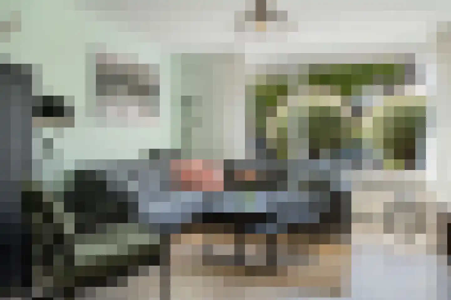 Kolblei 22 Hoogeveen thumbnail 5