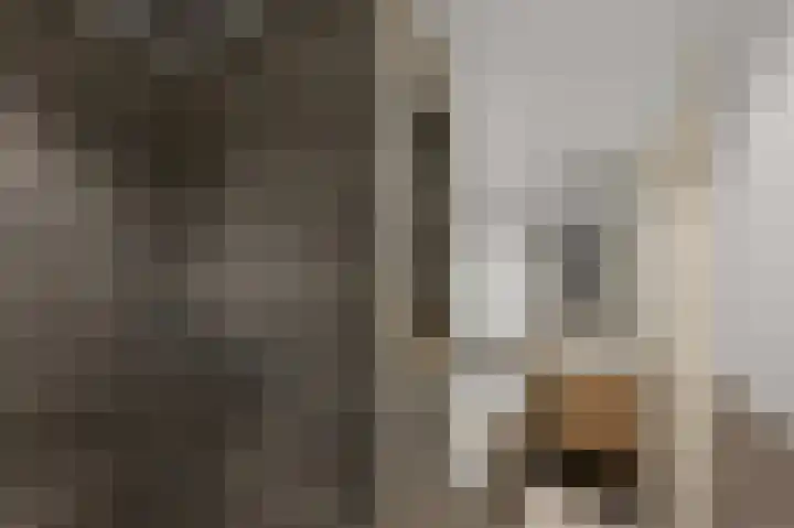Kolblei 22 Krommenie thumbnail 26