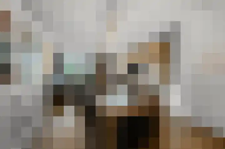 Kolblei 22 Krommenie thumbnail 6