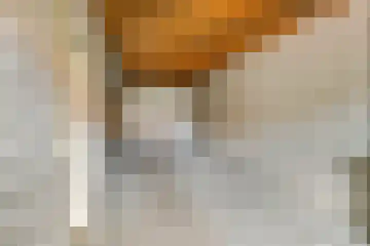 Kolblei 25 Tiel thumbnail 14