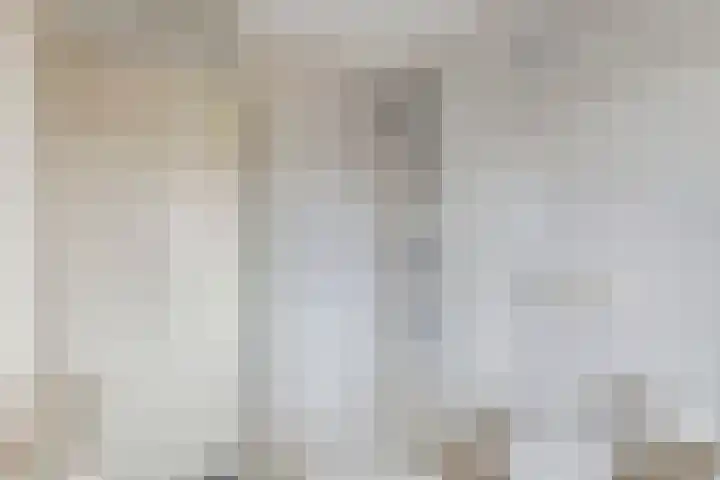 Kolblei 25 Tiel thumbnail 20
