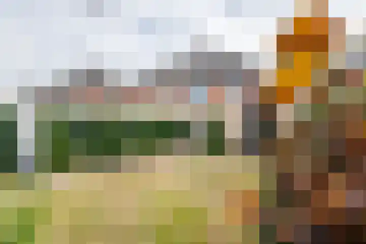 Kolblei 25 Tiel thumbnail 27