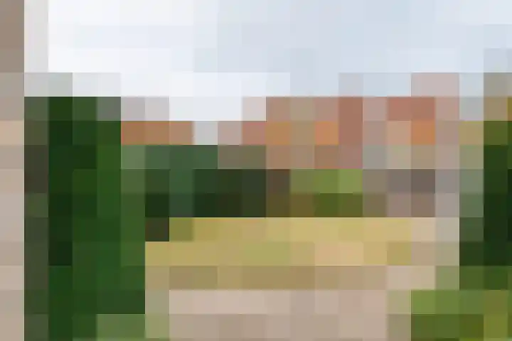 Kolblei 25 Tiel thumbnail 28