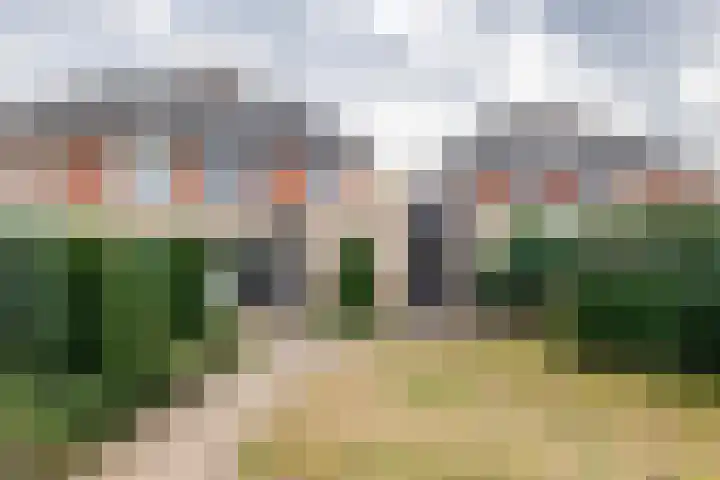Kolblei 25 Tiel thumbnail 30