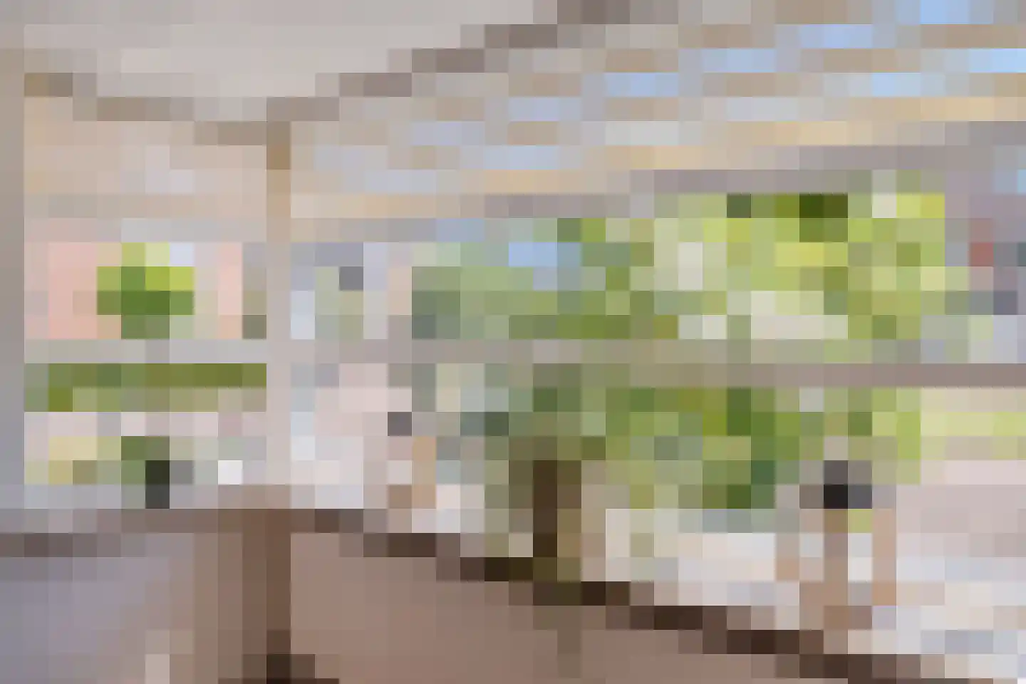 Kolblei 31 Tiel thumbnail 11