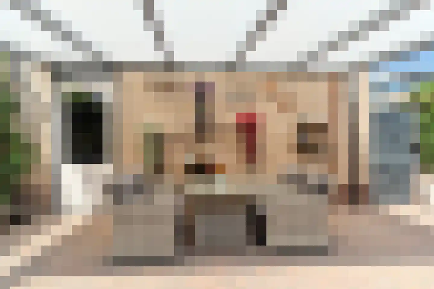 Kolblei 31 Tiel thumbnail 48