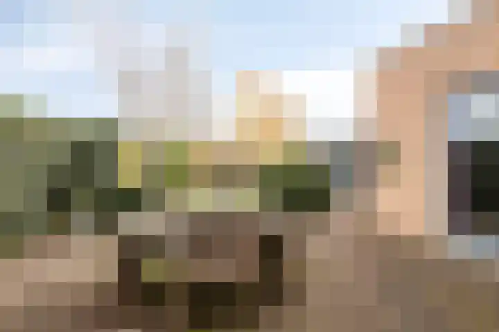 Kolblei 37 Avenhorn thumbnail 34