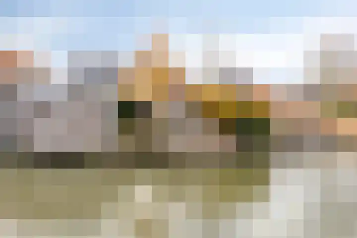 Kolblei 37 Avenhorn thumbnail 41