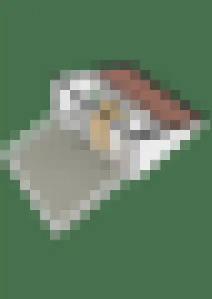 Kolblei 4 Krommenie thumbnail 44